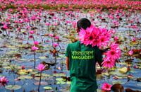 Bangladesh